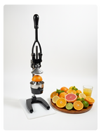 Jooce Hand Press Juicer